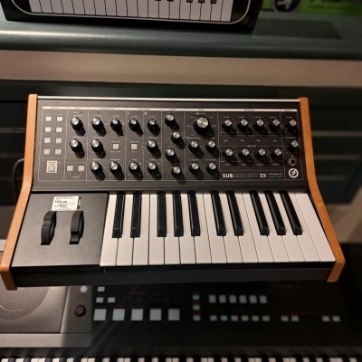 Moog - SUBSEQUENT 25